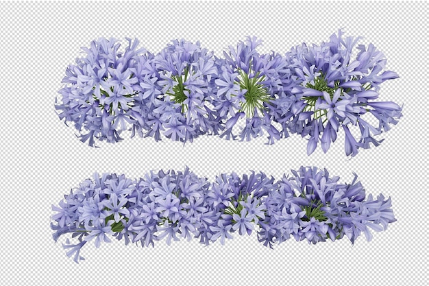 Beautiful various kinds of flowers in 3d rendering isolated