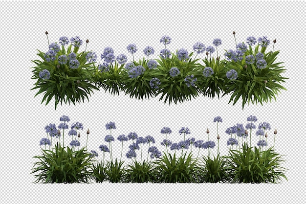 고립 된 3d 렌더링에 꽃의 아름 다운 다양 한 종류