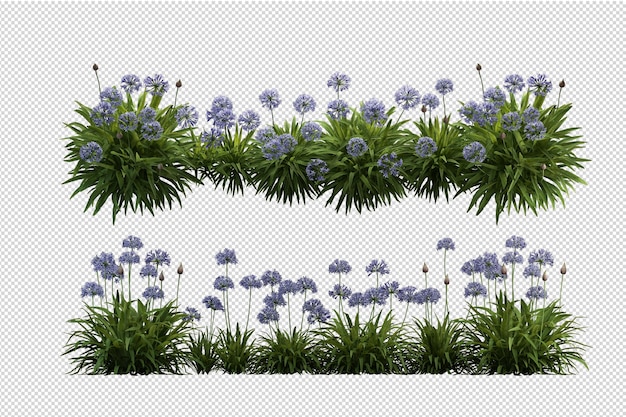 Bellissimi vari tipi di fiori in rendering 3d isolati