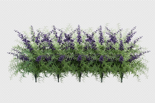 PSD bellissimi vari tipi di fiori nel rendering 3d