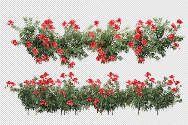 Bellissimi vari tipi di fiori nel rendering 3d