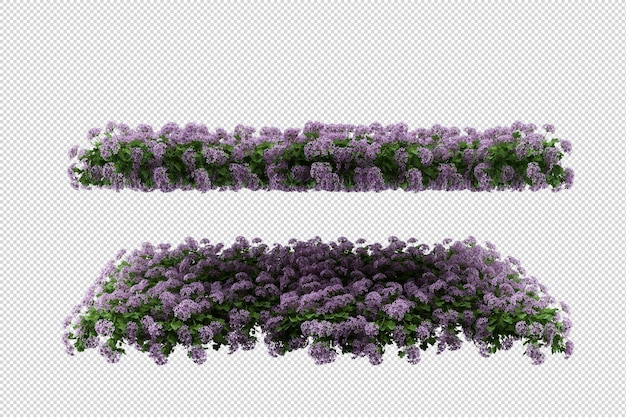 分離された3dレンダリングで美しいさまざまな種類の花