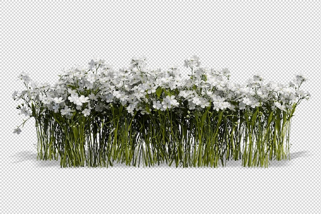 고립 된 3d 렌더링의 아름다운 다양한 종류의 꽃