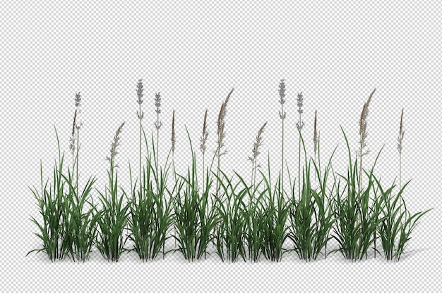 beautiful various kinds of flowers in 3d rendering isolated