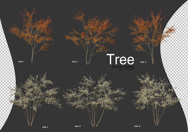 Beautiful various types of trees isolated