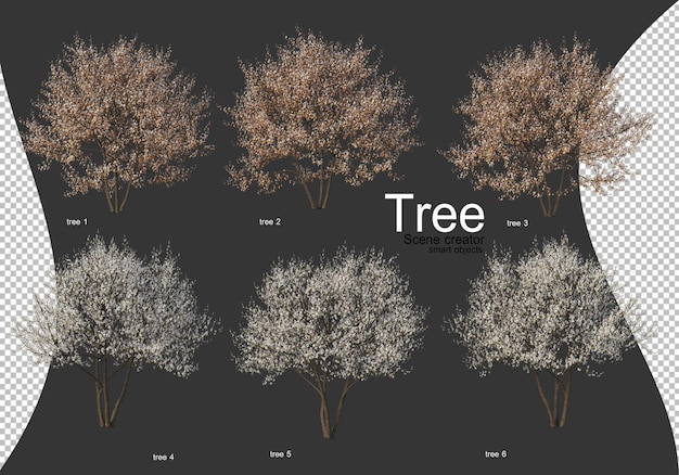 Beautiful various types of trees isolated