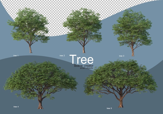 Beautiful various types of trees