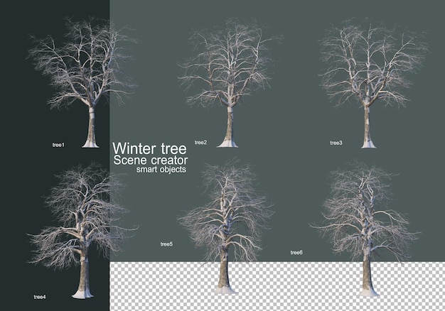 PSD beautiful various winter trees isolated