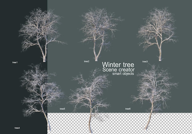 PSD beautiful various winter trees isolated