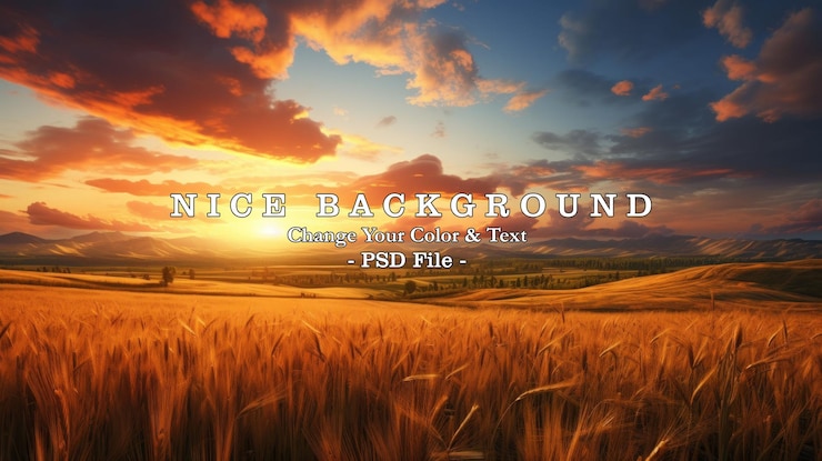 PSD beautiful wheat field at morning sunrise view golden scene generate ai image