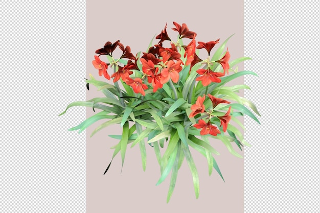 Beauty flowers in 3d rendering isolated