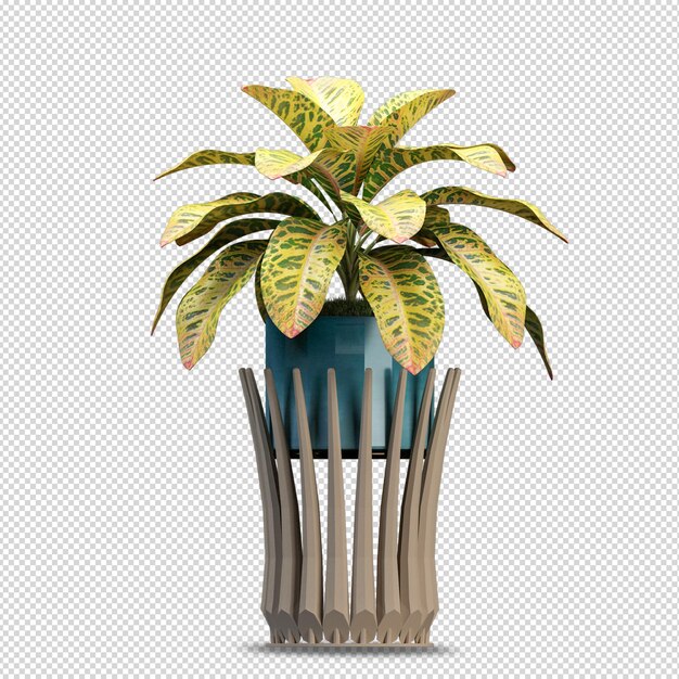 PSD beauty plant in 3d rendering isolated