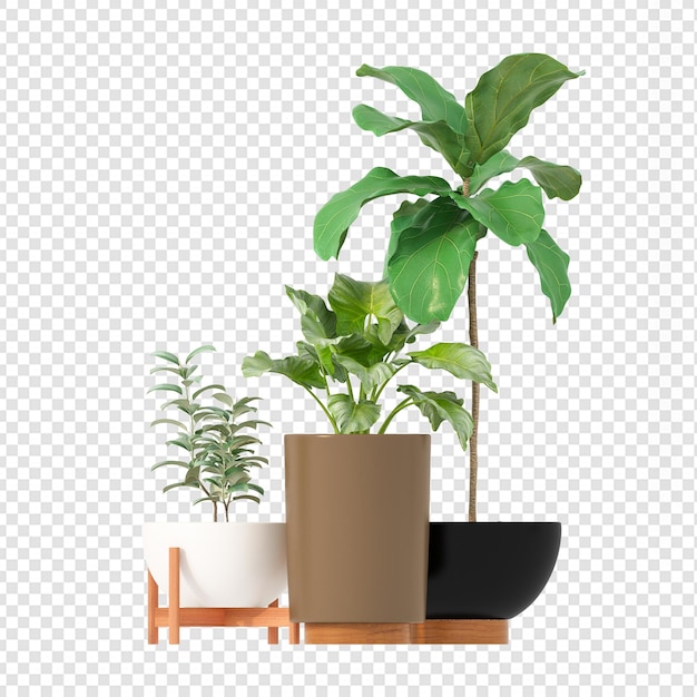 Beauty plants in pot in 3d rendering isolated