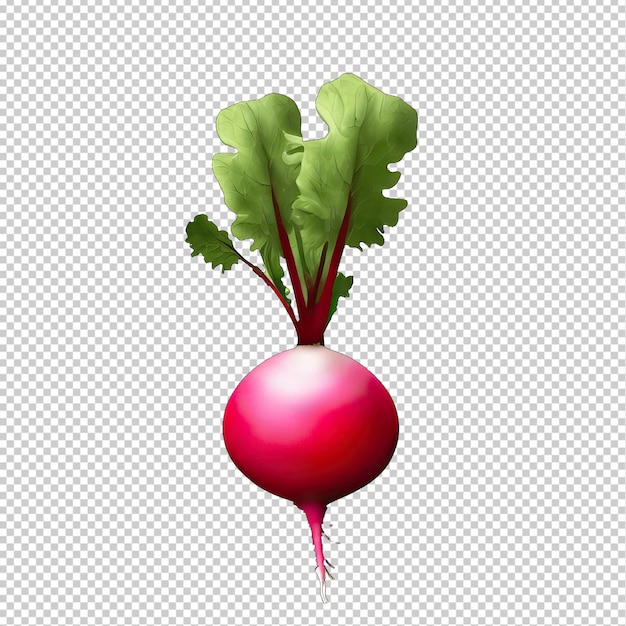 PSD the beauty of red beetroot closeups