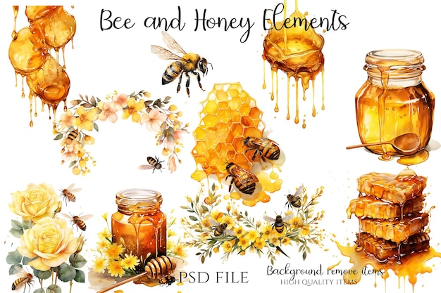 PSD bee and honey elements clipart