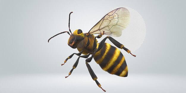 PSD bee isolated on a transparent background