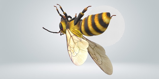 PSD bee isolated on a transparent background