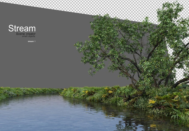 beek en veel planten aan het water