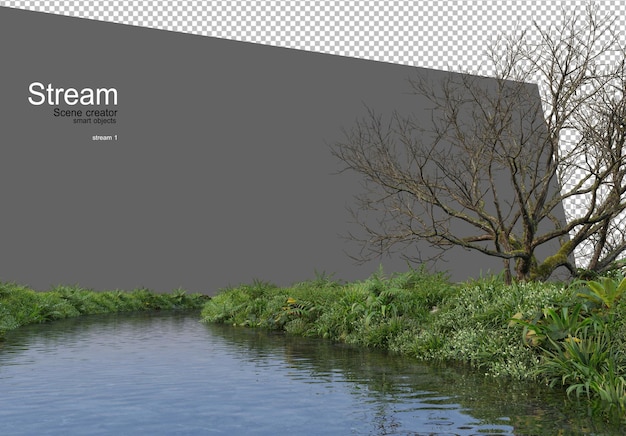 beek en veel planten aan het water