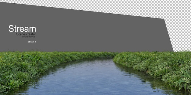 beek en veel planten aan het water