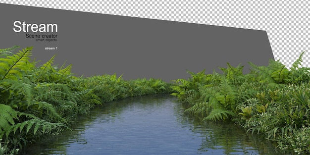 beek en veel planten aan het water