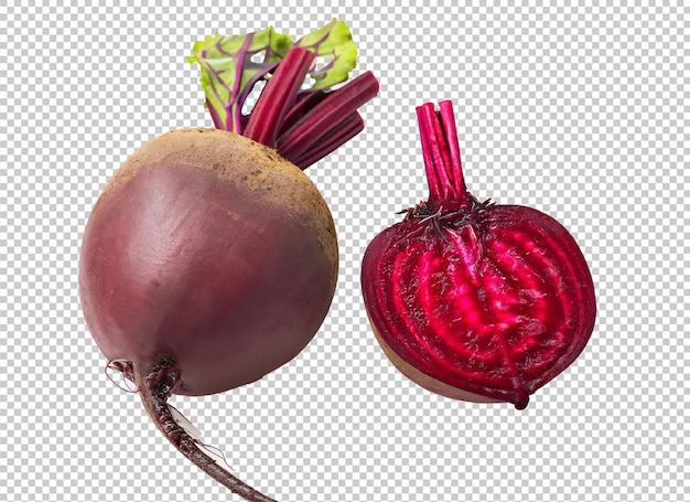 PSD beetroot on alpha layer