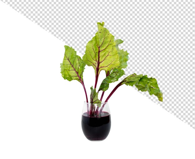 PSD beetroot png