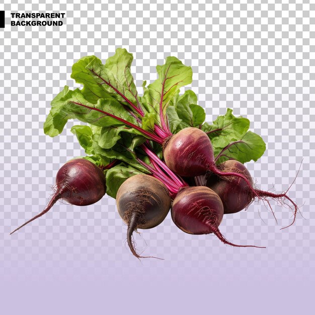 PSD beetroot vegetable on transparent background