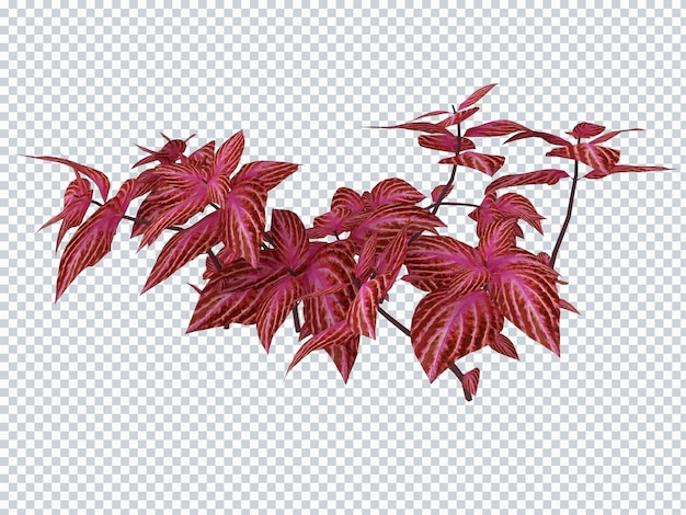 PSD begonia red plants mockup