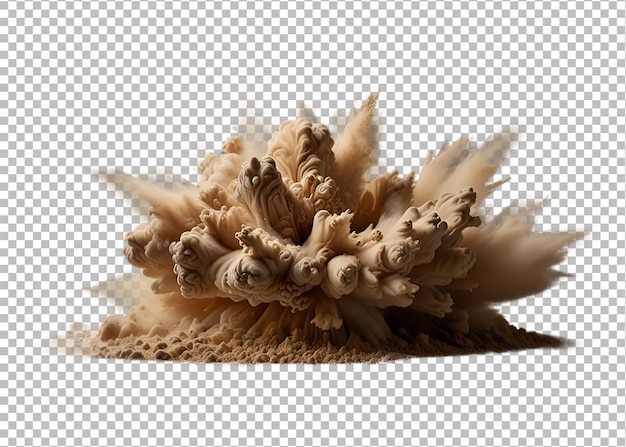 beige color powder pulver explosion on transparent background premium psd