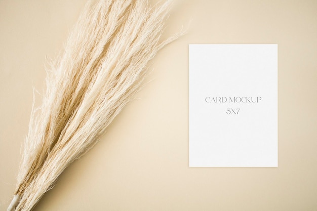 Beige mockup for invitation card with dry grass