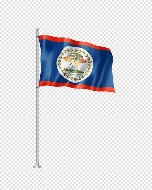 Belize flag isolated on white