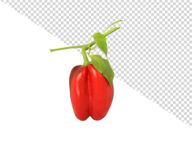 PSD bell pepper png