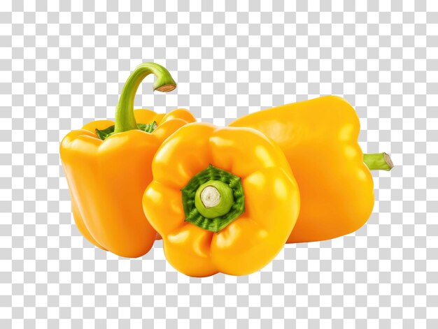 Bell pepper on transparent background vector illustration