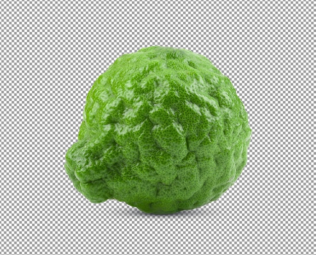 Bergamot isolated