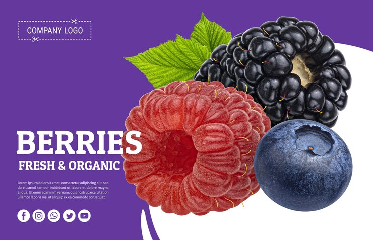 PSD berry isolated on white background with clipping path, collection of blackberry, strawberry