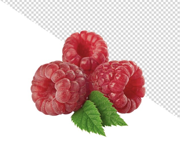 PSD berry png