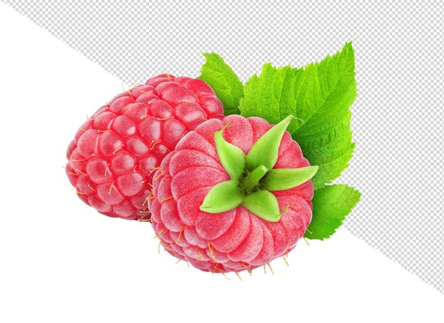 PSD berry png