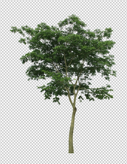 Best collection of dicut tree