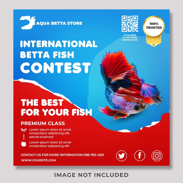 PSD betta fish contest social media promotion instagram post design template