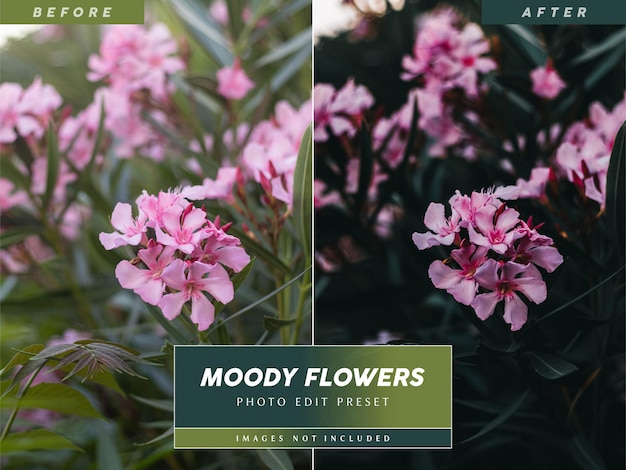 PSD bewerkbare dark moody photo filter preset voor bloemenfotografie