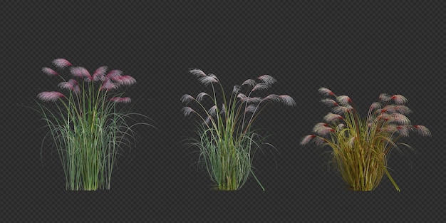 Beyaz Üzerine İzole Edilmiş 3D Render Fırça Ağacı