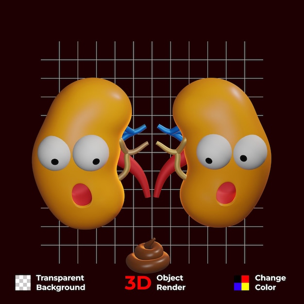 PSD bezpłatne 3d zabawny charakter narządów wewnętrznych ludzkich nerek przezroczyste tło i zmiana koloru psd