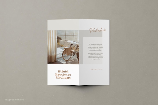 Bifold Dl Brochure Makieta Widok Z Góry