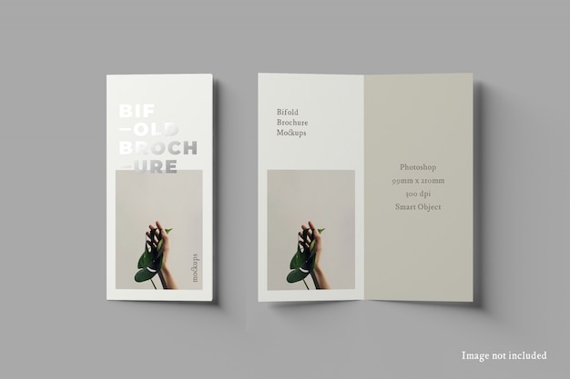 Bifold dl brochure mockup