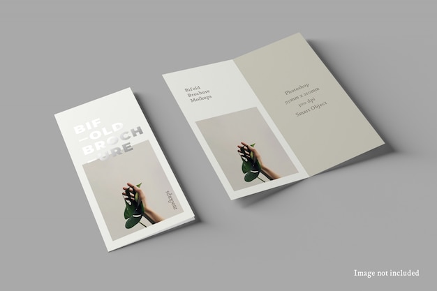 PSD bifold dl brochure mockup