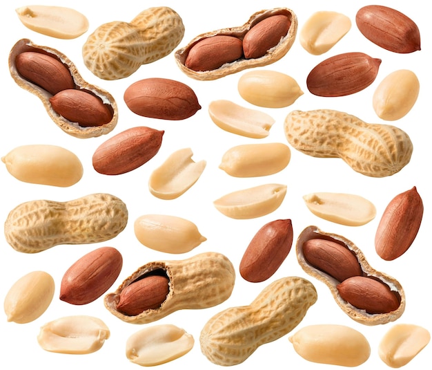 PSD big peanut set isolated on white background groundnuts shelled and in nutshell