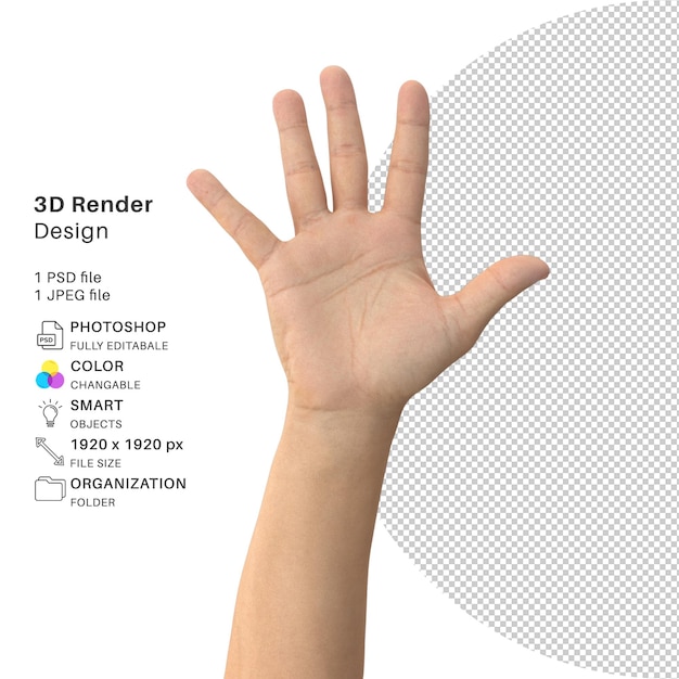 Bionische hand 3D-modellering PSD-bestand Realistische hand