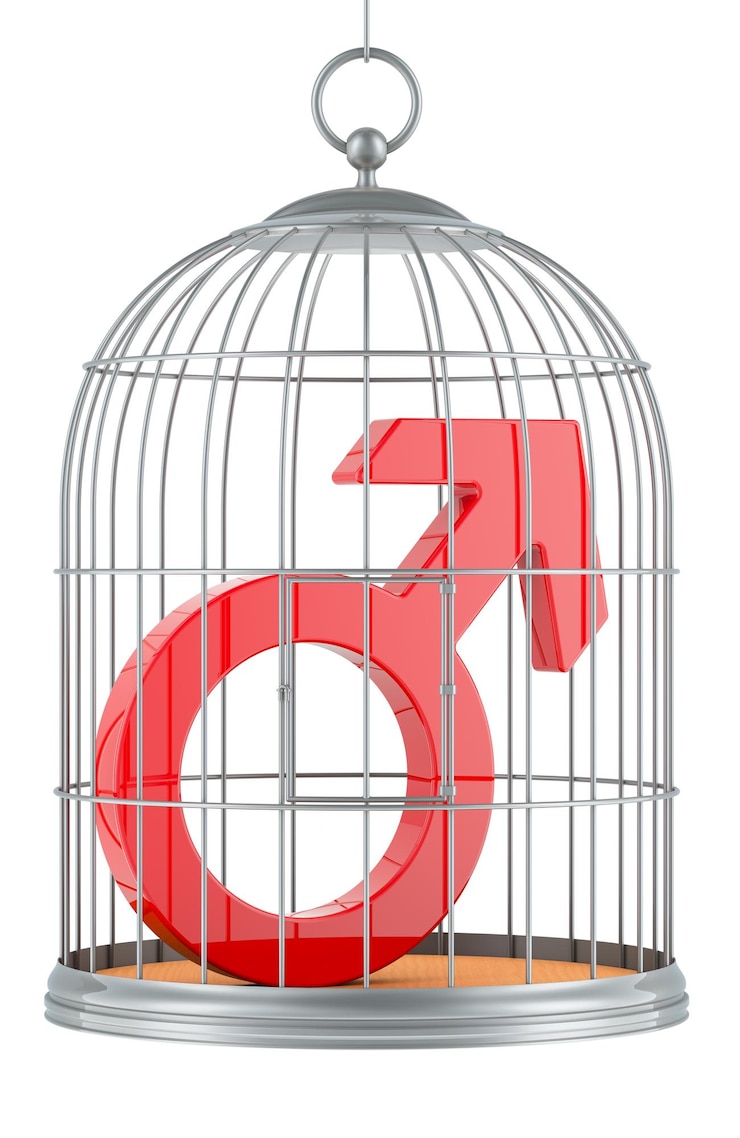 PSD bird cage with male gender symbol 3d rendering isolated on transparent background
