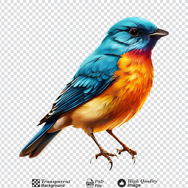 Bird isolated on transparent background